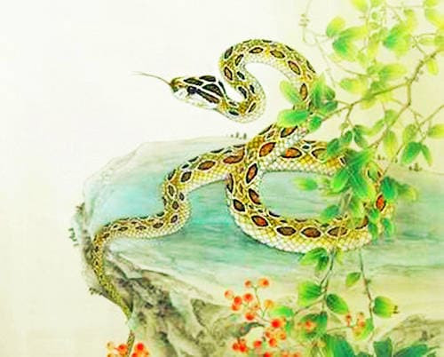 Khi vận may lặng lẽ đến, thì trong hai tháng tới, con giáp tuổi Tỵ nhất định có thể thu được nhiều của cải, thu nhập tốt hơn, từ đó có thêm phúc khí, cuộc sống hạnh phúc.