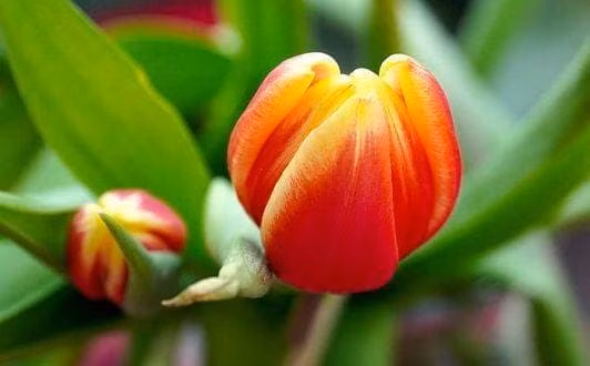 Nhin thoang qua co the biet mot nguoi co thuc su giau co hay khong