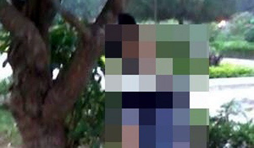 Người dân phát hiện nam thanh niên treo cổ trên cành cây.