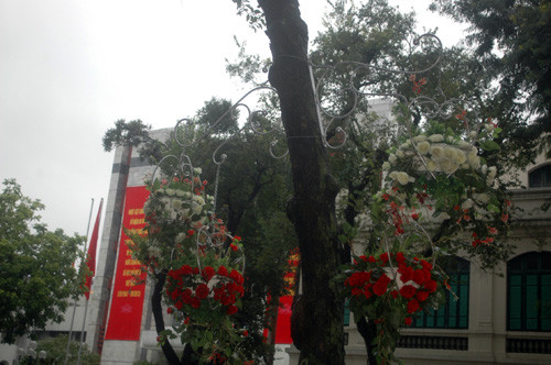 Những gốc cây bên bờ hồ Hoàn Kiếm, Hà Nội