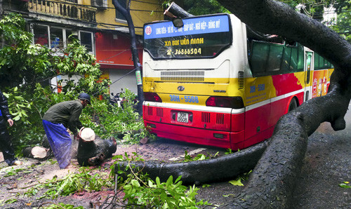 Cảnh tượng hãi hùng trên trên phố Bà Triệu, quận Hai Bà Trưng: Cây đổ đè xe buýt!
