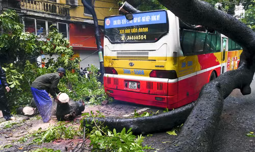 Cảnh tượng hãi hùng trên trên phố Bà Triệu, quận Hai Bà Trưng: Cây đổ đè xe buýt!