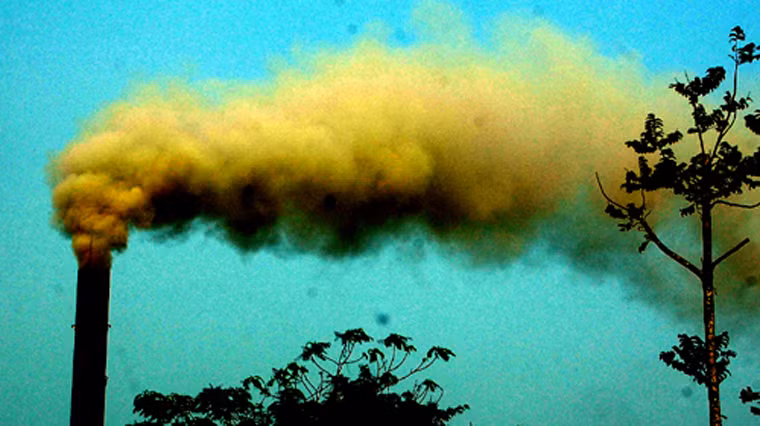 ... và phá tan sự trong lành của môi trường.