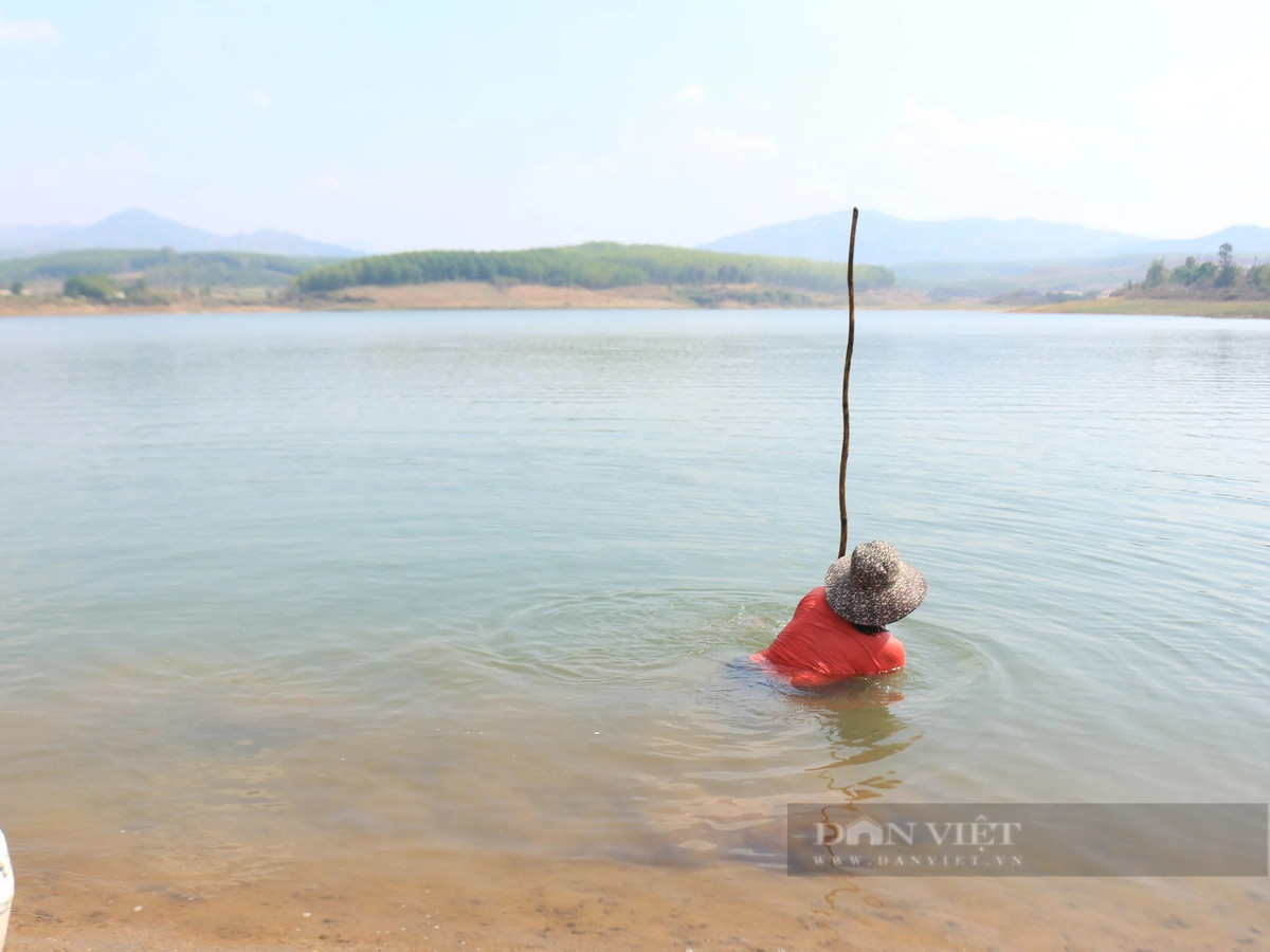 Theo người dân, từ tháng 2 cho đến tháng 4 là thời điểm mà mực nước tại hồ thủy lợi Đăk Yên rút dần nên người dân có thể dễ dàng bắt hến.