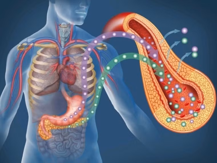 Thực tế, hầu hết người mắc ung thư tuyến tụy khi được phát hiện chỉ có khả năng sống sót từ 4 – 6 tháng. Những yếu tố như tiền sử gia đình có người mắc bệnh, thường xuyên hút thuốc, mắc tiểu đường và tuổi cao được xem là nguyên nhân gây bệnh cao.