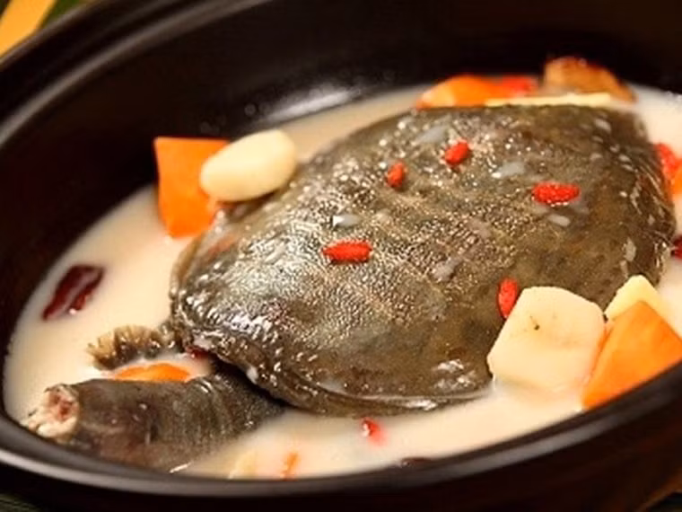 Súp rùa. Ngoài yếu tố bổ dưỡng, thơm ngon, súp rùa còn được xem như một loại viagra tự nhiên giúp quý ông sung mãn trong sinh hoạt chăn gối.