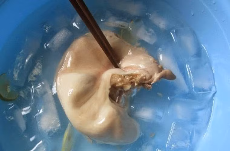 Để dạ dày luộc được giòn, ngon, chị em nên cho thêm 1 thìa muối, 1 củ gừng đập dập, 1 thìa dấm và 1 ít rượu vào nồi. Sau đó đậy vung đun khoảng 20 phút, mở vung lấy đũa xiên thử vào miếng dạ dày thấy mềm là được. Dạ dày sau khi luộc chín thì vớt ra ngâm ngay vào bát nước lạnh.