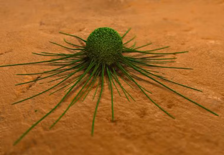 Không hút thuốc giúp bạn và những người xung quanh giảm đáng kể nguy cơ chứ không thể loại bỏ hoàn toàn được nỗi ám ảnh về căn bệnh nguy hiểm.