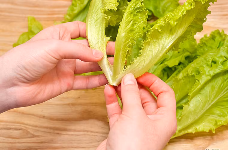 Dùng tay tách từng lá xà lách ra khỏi thân, rửa sạch rồi ngâm chúng trong nước khoảng 5 phút. Chú ý thao tác nhẹ nhàng để chúng không bị dập nát.