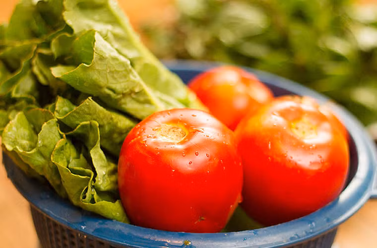 Đối với salad từ rau xanh. Bạn chỉ cần rửa sạch vết bẩn bám ở rau, để ráo. Tốt nhất nên rửa chúng trực tiếp dưới vòi nước chảy xối để có thể đánh bay vết bẩn một cách dễ dàng.