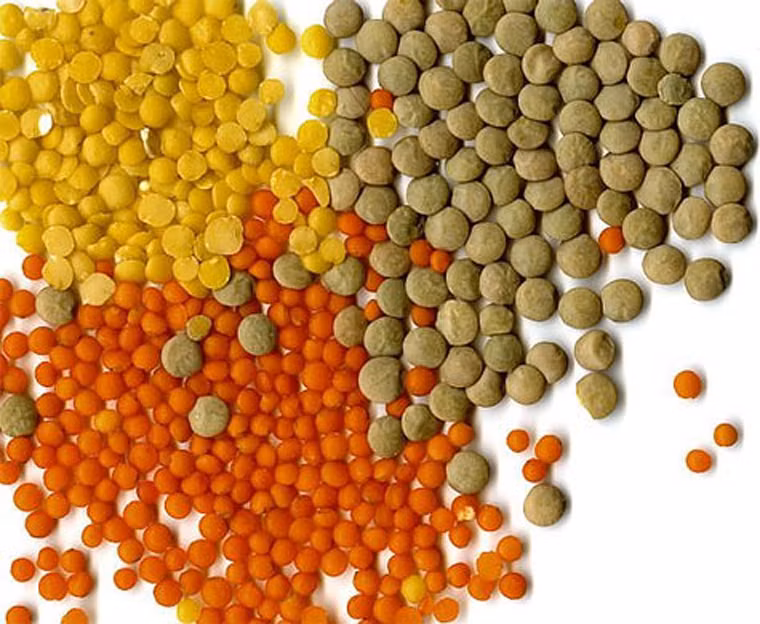 Kết quả nghiên cứu tiến hành 20 năm với 10.000 đối tượng cho thấy, chế độ ăn giàu folate giúp giảm tới 20% nguy cơ thiếu máu não, đột quỵ.