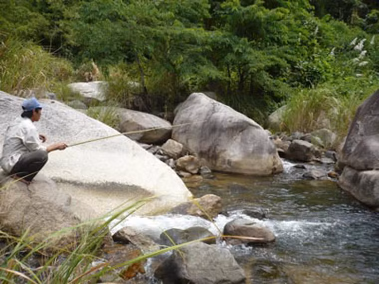 Đánh bắt cá là một sự thử thách lớn bởi chúng rất tinh và di chuyển cực nhanh. Cá suối chỉ bị bắt khi người ta câu hoặc sử dụng dụng cụ đánh bắt riêng.