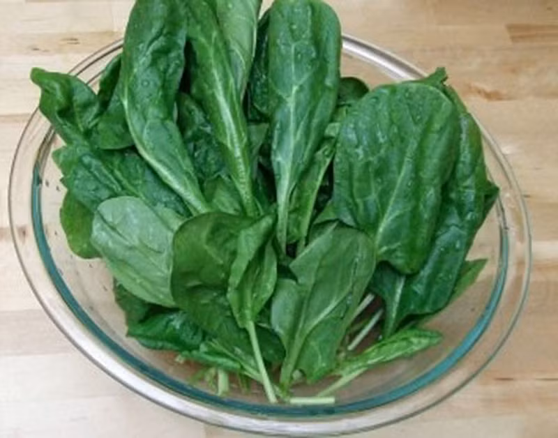 Rau bina. Rau bina thuộc họ cải, chứa nhiều vitamin B, E, lutein và flavonoid (một chất chống oxy hóa cực mạnh) có tác dụng ngăn ngừa ung thư.