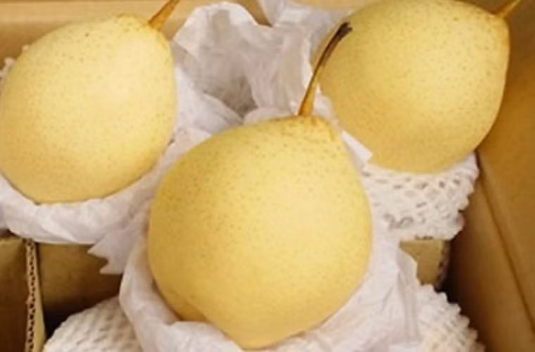 Lê. Lê cũng là loại trái cây dễ có nhập nhèm về xuất xứ. Để có thể đánh lừa người dân, không ít mẫu lê nhập từ Trung Quốc chứa dư lượng endosulfan. Thuốc trừ sâu Endosulfan có tính độc cao, có thể gây các ảnh hưởng phá vỡ hệ nội tiết hoặc gây ảnh hưởng đến cơ quan sinh sản của con người.