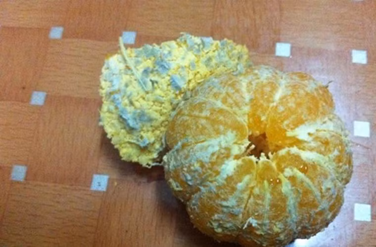 Quýt. Để giữ được lâu hơn, bảo đảm được chất lượng, giảm tỷ lệ hao hụt, đặc biệt là có thể điều tiết sản phẩm trên thị trường để có được giá bán tốt hơn, quýt Trung Quốc cũng được “độn” hàng tá hóa chất. Trong số đó có propargite dùng để tiêu diệt nhện, nấm. Nhiều trường hợp phát hiện quýt vỏ ngoài bóng bẩy nhưng bên trong lại mốc xanh, có mùi khó chịu.