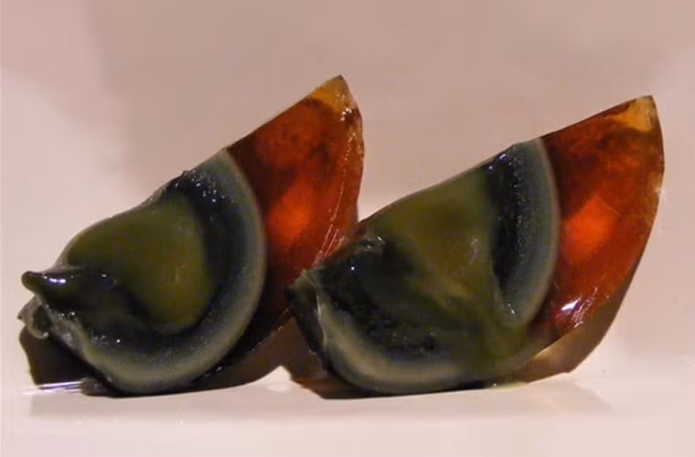 Trứng thế kỷ. Trứng thế kỷ không chỉ nổi tiếng trong giới sành ăn Trung Quốc, nó cũng khá được ưa thích tại Singapore. Không giống loại trứng thông thường, trứng thế kỷ có lòng trắng chuyển thành màu nâu giống như thạch, lòng đỏ nhuốm màu đen hoặc kem nhờ được ngâm trong hỗn hợp đất sét, muối, tro, vôi và gạo.