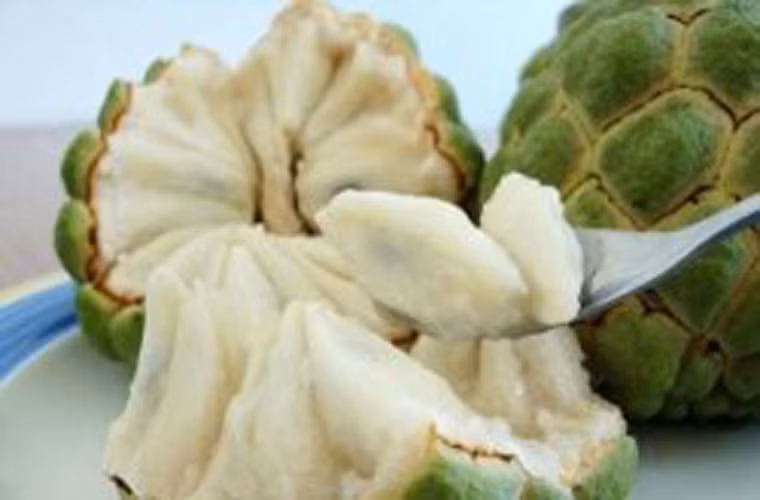 Đánh tan cảm giác mệt mỏi. Nếu như các loại thực phẩm khác đòi hỏi thời gian tiêu hóa khá dài thì ăn na lại là cách “đi tắt” cung cấp dưỡng chất nhanh chống kiệt sức, suy nhược. Đây cũng là nguồn thức ăn có tác dụng giảm mệt mỏi, cải thiện hiện trạng cung cấp máu; là cách đánh bại căng thẳng, mệt mỏi dễ dàng.