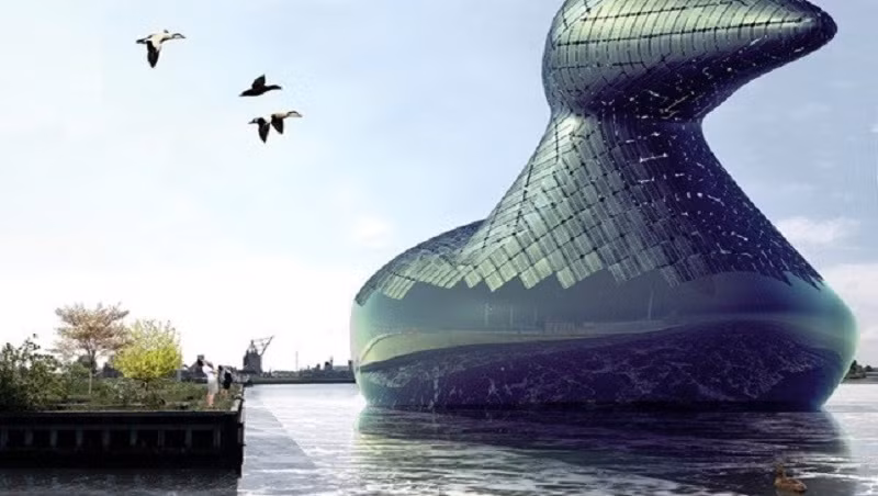 Đây cũng là một cách để người dân địa phương tôn vinh động vật hoang dã. Nhóm thiết kế chú vịt năng lượng độc đáo này gồm Hareth Pochee, Adam Khan, Louis Leger, và Patrick Fryer.