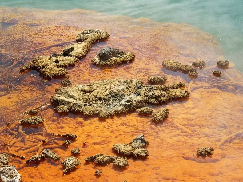 Ngoài ra, nhiều kim loại khác như thủy ngân, tali, vàng và bạc cũng lắng đọng và bám vào các tảng đá quanh hồ.