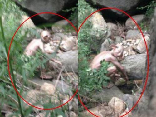 3. Quái vật Gollum: Một người dân Trung Quốc đã tình cờ chụp được những hình ảnh về "quái vật" bí ẩn giống nhân vật Gollum trong bộ phim “Chúa tể của những chiếc nhẫn”.