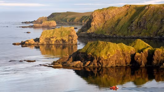 Khoảng 90% diện tích đất trên đảo Chuột thuộc quần đảo Aleutian do loài động vật gặm nhấm này thống trị.