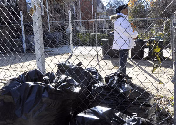 Vấn đề chuột bọ tại Baltimore, Maryland nghiêm trọng tới mức chúng ngang nhiên bao vây các xe rác, thùng rác,… và đảo lộn mọi thứ để tìm kiếm thức ăn.