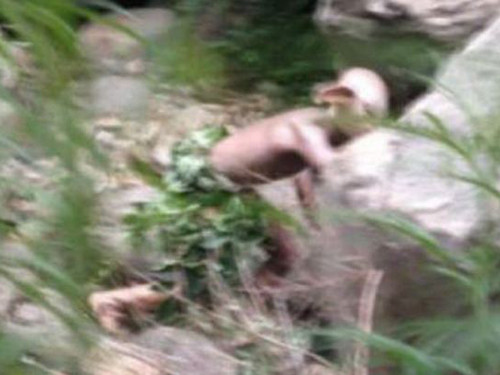 Tuy nhiên, thực chất đây chỉ là diễn viên đang tham gia một bộ phim khoa học viễn tưởng.