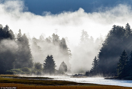 Cơn mưa bất ngờ ập xuống bìa rừng.