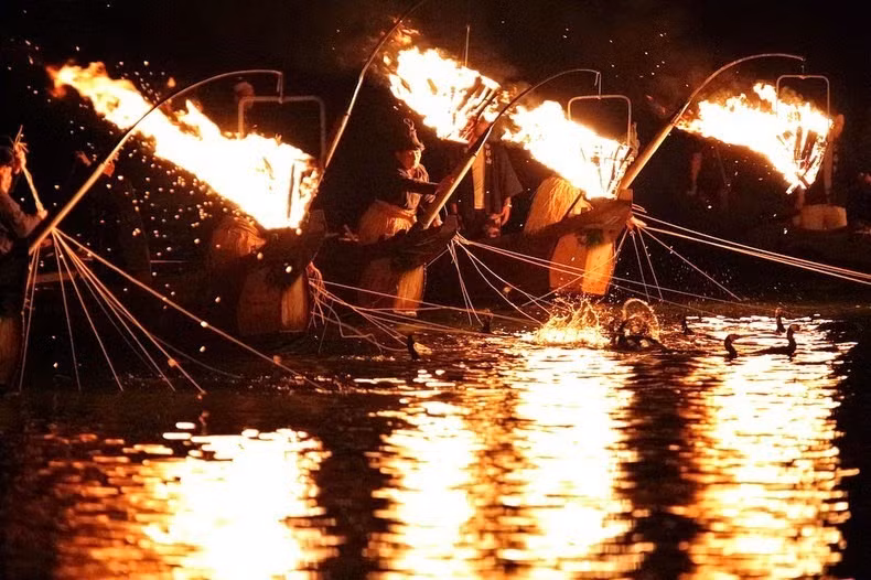 Việc sử dụng chim cốc để bắt cá trên sông Nagara bắt đầu từ hơn 1.300 năm trước đây, và là cách để các ngư dân nuôi sống gia đình mình.