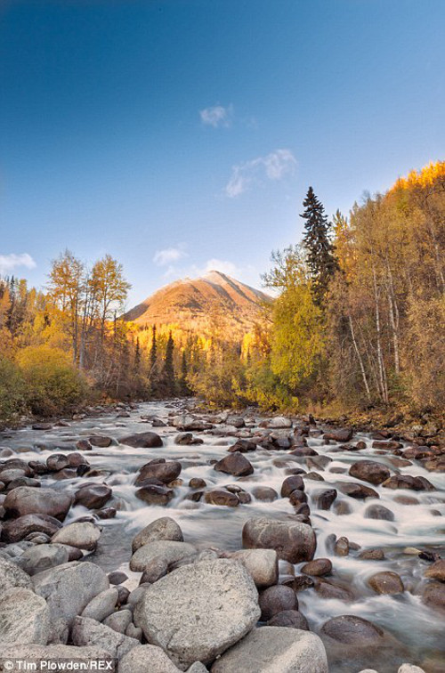 Dòng suối đá chảy xiết.