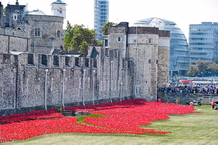 Nghệ sĩ Paul Cummins và nhà thiết kế Tom Piper đã đưa ra ý tưởng trồng một số lượng khổng lồ những cây hoa anh túc màu đỏ tươi quanh tháp London.