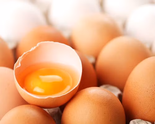 Các nhà khoa học Anh đã tạo ra một giống gà biến đổi gen có thể đẻ ra “trứng vàng” – có chứa chất được dùng để sản xuất thuốc chống ung thư trong trứng.