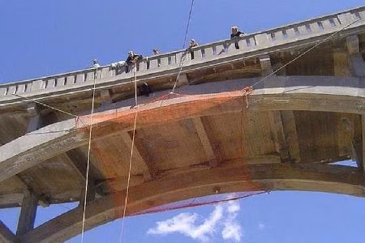 Công tác chuẩn bị phải thật nhanh chóng nhưng cũng phải đảm bảo an toàn. Chú gấu nhìn tấm lưới đầy nghi ngờ.