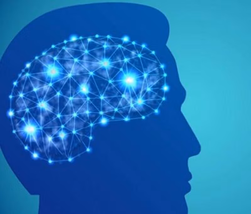 Tháng 3 vừa qua, Google đã mua lại DNNresearch Inc. và tiếp tục nghiên cứu mạng lưới thần kinh thực nghiệm nhằm sử dụng máy tính để mô phỏng các quá trình trong bộ não con người và ứng dụng vào Google Street View.