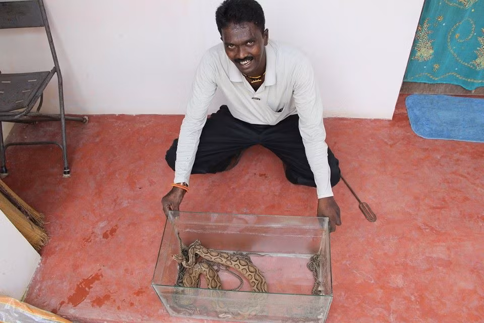 Chân dung người đàn ông Ấn Độ Vava Suresh - một nhà bảo tồn động vật hoang dã, đồng thời là một chuyên gia về rắn. Nhiệm vụ cả đời của Suresh là giải cứu những chú rắn đi lạc trên khắp lãnh thổ quốc gia và trả chúng về với môi trường thiên nhiên, bất kể đó là loài rắn độc hay không độc.