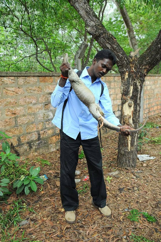 Bất cứ khi nào có cơ hội, Suresh đều tận dụng thời cơ cứu lấy mạng sống của những sinh vật đi lạc.