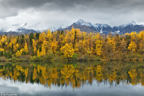 Cây cối mang màu sắc mùa thu lãng mạn.