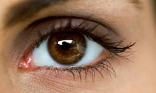 Từ năm 8.000 trước Công nguyên cho đến nay, đau mắt hột vẫn là một trong những căn bệnh lây nhiễm phổ biến.