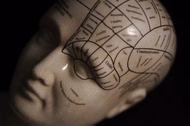 Não tướng học là một môn nghiên cứu cổ xưa về hình thể sọ người để xác định tính tình và khả năng của người đó. Chính môn khoa học này đã giúp cho hiểu biết về bộ não của chúng ta được mở rộng hơn.