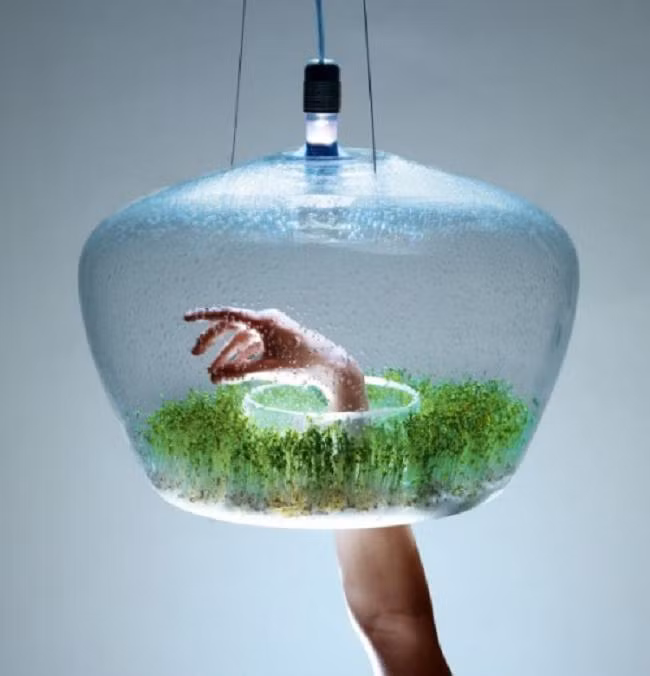 Sản phẩm hoàn hảo cho những người yêu thích thiên nhiên tươi mát.