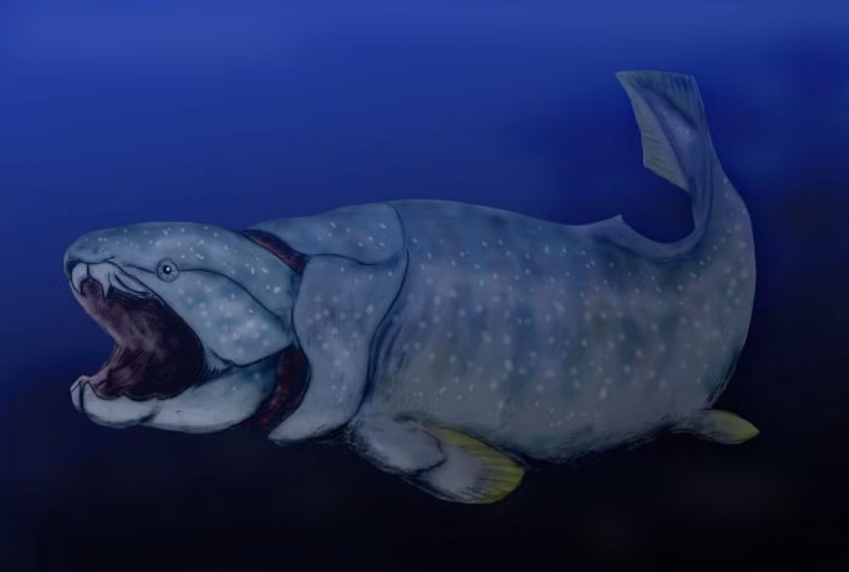 Dunkleosteus terreli là loài cá dữ tợn thống trị hệ sinh thái biển vào kỷ Devon nhờ “làn da” cứng như bọc thép và phát cắn mạnh khủng khiếp, xếp thứ 2 trong thế giới tự nhiên thời đó.