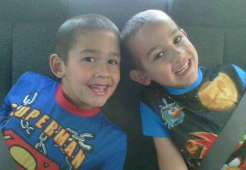 Hai cậu bé người Canada đã bị con rắn cắn chết sau khi sổng khỏi lồng sắt vào buổi đêm và trườn theo hệ thống thông gió của tòa nhà lên tầng trên, nơi hai cậu bé đang ngủ.