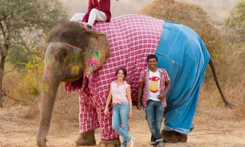 Chú voi này mặc quần jeans cũng hợp đấy chứ