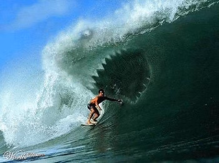 Một tác phẩm photoshop khác minh họa sự đe dọa của loài quái vật đại dương này đối với người đi biển, đặc biệt là những tay lướt ván muốn tìm những con sóng cao, cách xa bờ.