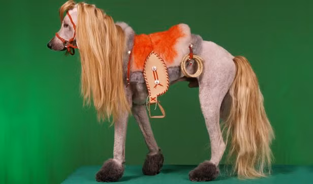 “Ăn diện” theo phong cách loài ngựa.