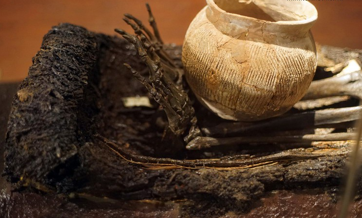 Các bộ xương người Việt cổ thời Đông Sơn hay thời Bắc thuộc sau này đều không có đặc điểm đó. Có thể khẳng định rằng chỉ có một bộ phận nhỏ dân cư người Việt xưa có “bàn chân Giao Chỉ”, đây không phải đặc thù giải phẫu học của cha ông ta.