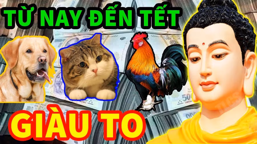 Cuối năm 2022 trở đi, sự nghiệp của con giáp tuổi Mão sẽ có tiến triển, phát triển nhanh hơn, kiếm tiền tốt hơn.