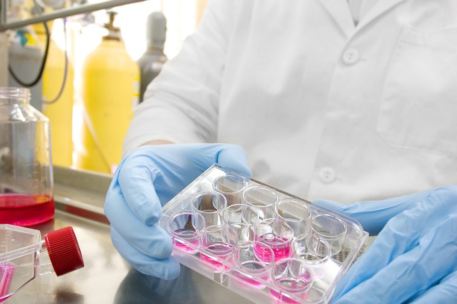 Các tế bào não người đã tích hợp thành công vào hệ thần kinh đang phát triển của chuột sơ sinh, mở đường cho các nghiên cứu tương lai về các liệu pháp dược phẩm mới cho các bệnh thoái hóa thần kinh.