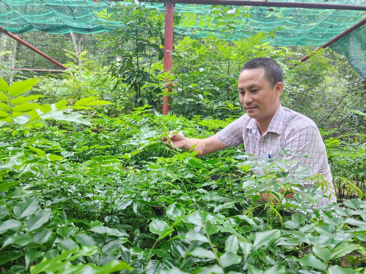 Biet doi uom rung o Phong Nha - Ke Bang-Hinh-2