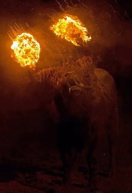 Lễ hội này được tổ chức hàng năm, bắt nguồn từ hơn 4 thế kỷ trước.